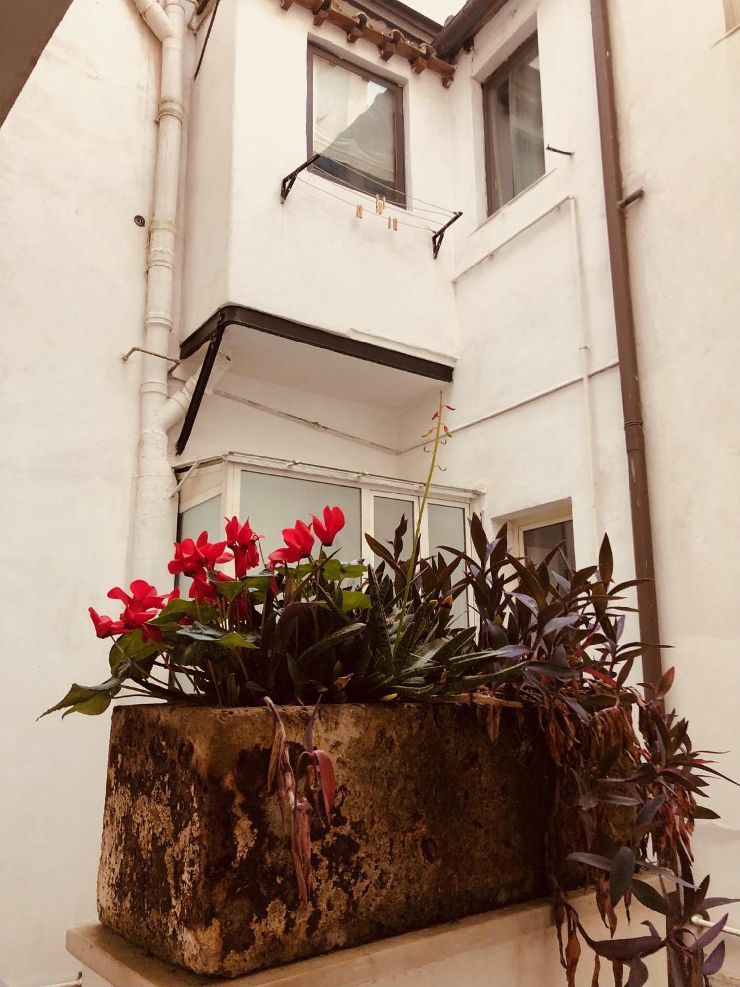 Campo De' Fiori Loft The Angeli'S Apartment روما المظهر الخارجي الصورة